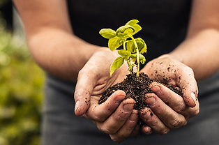 Boardman Clarks Starts Composting