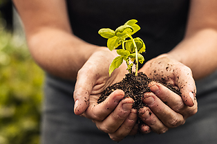 Boardman Clark Starts Composting